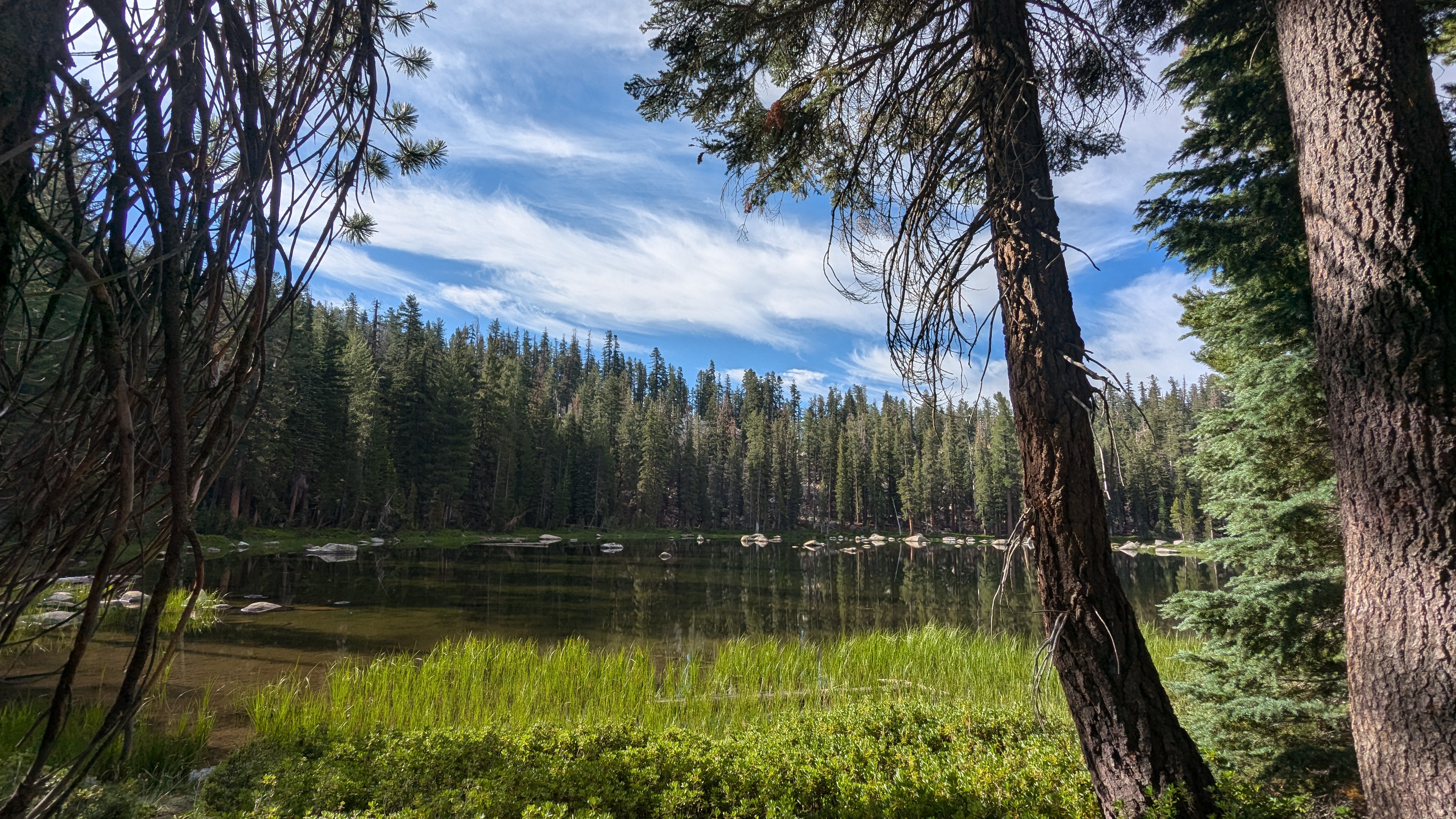Circumzenithal arc over suburban roofline