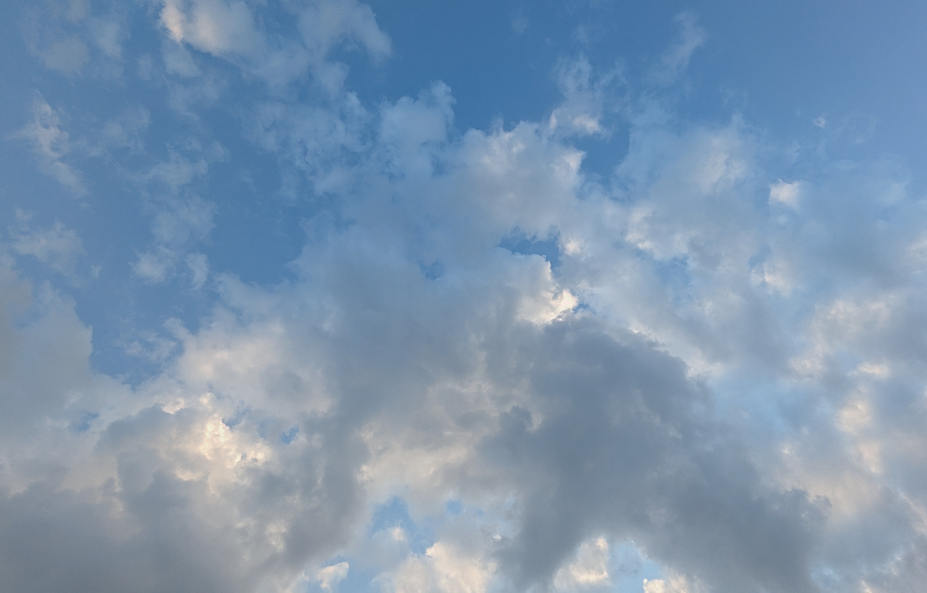 Arcus cloud at storm base