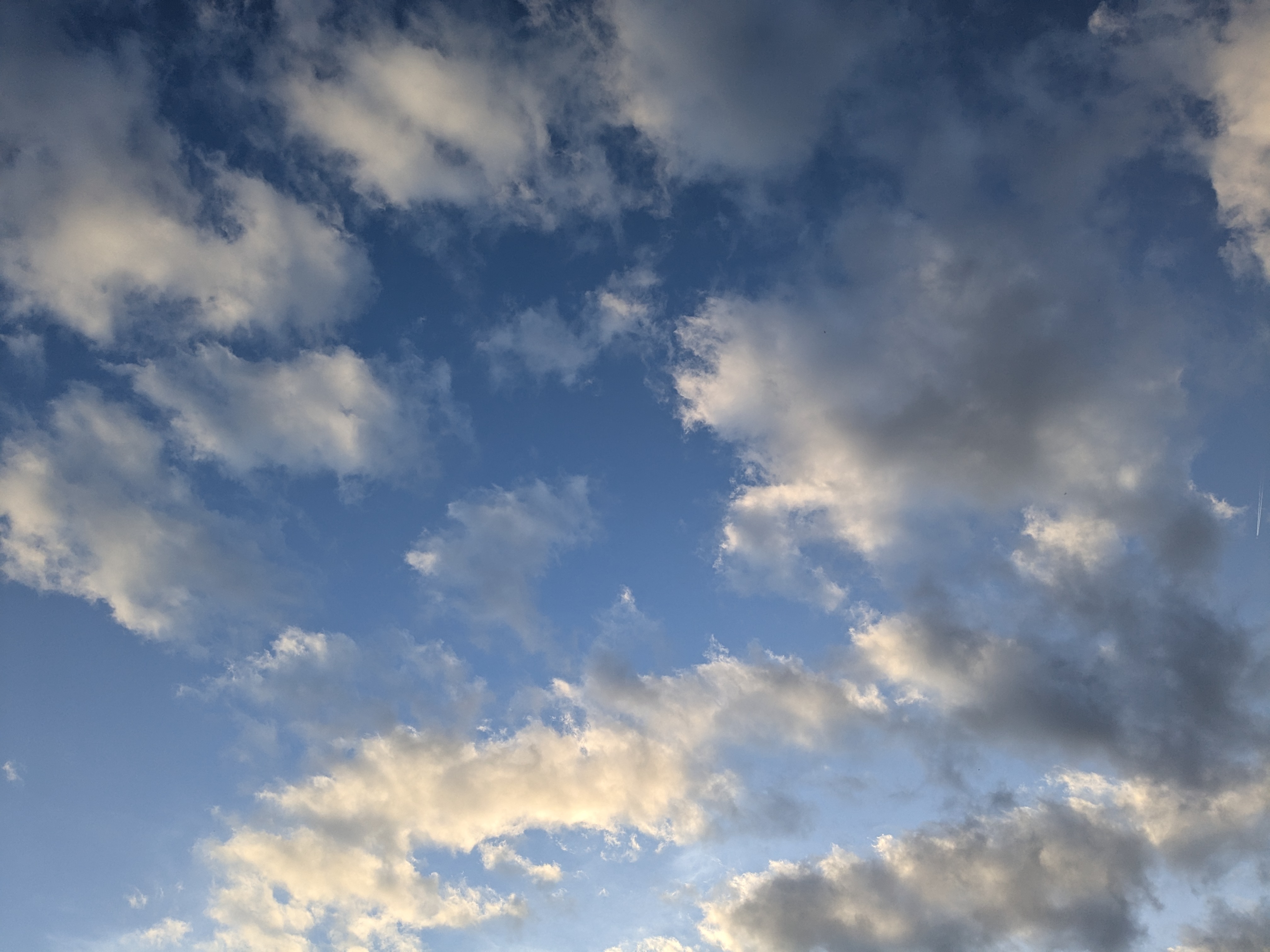 Pileus cap cloud at sunset