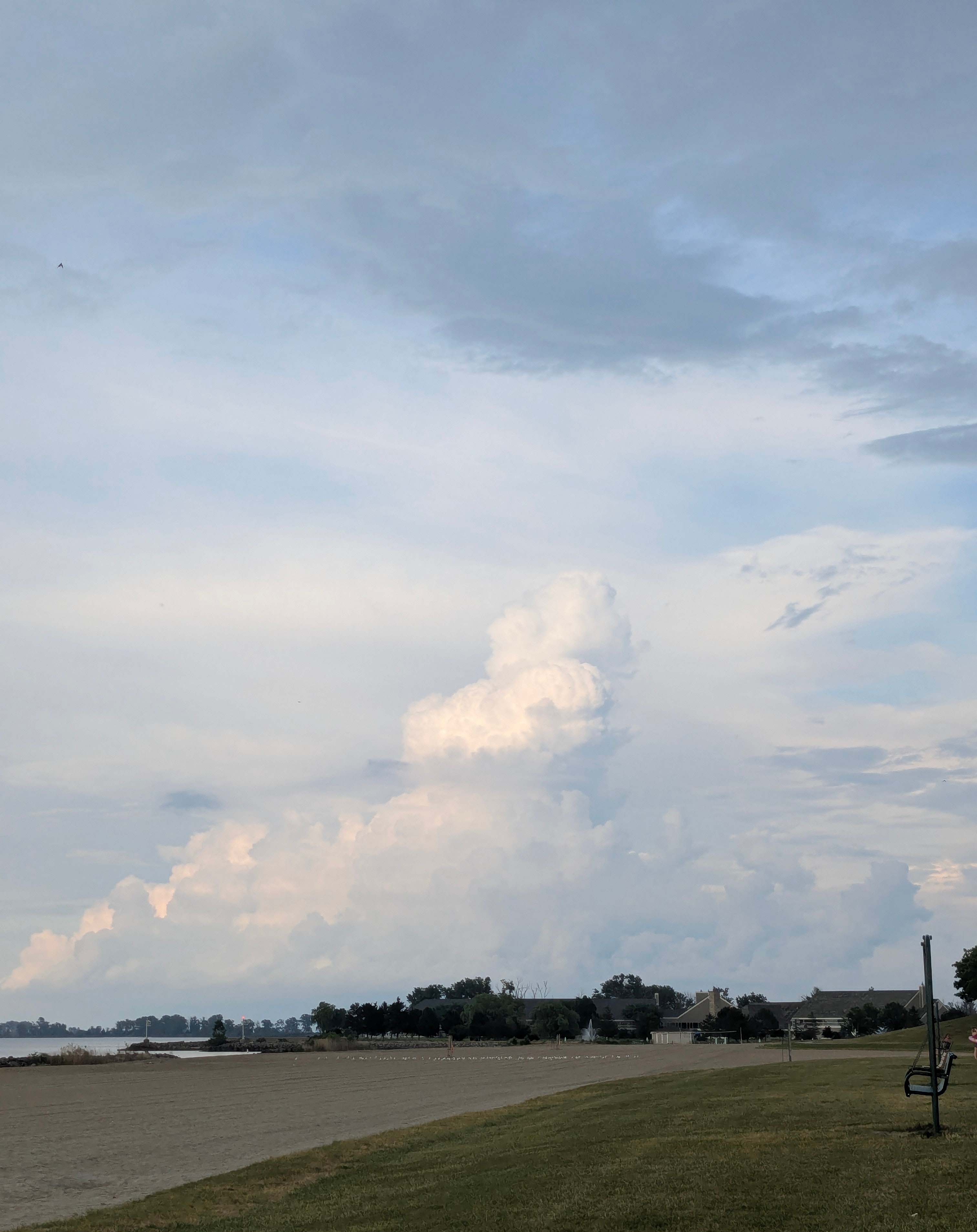 Fog bank rolling over highway