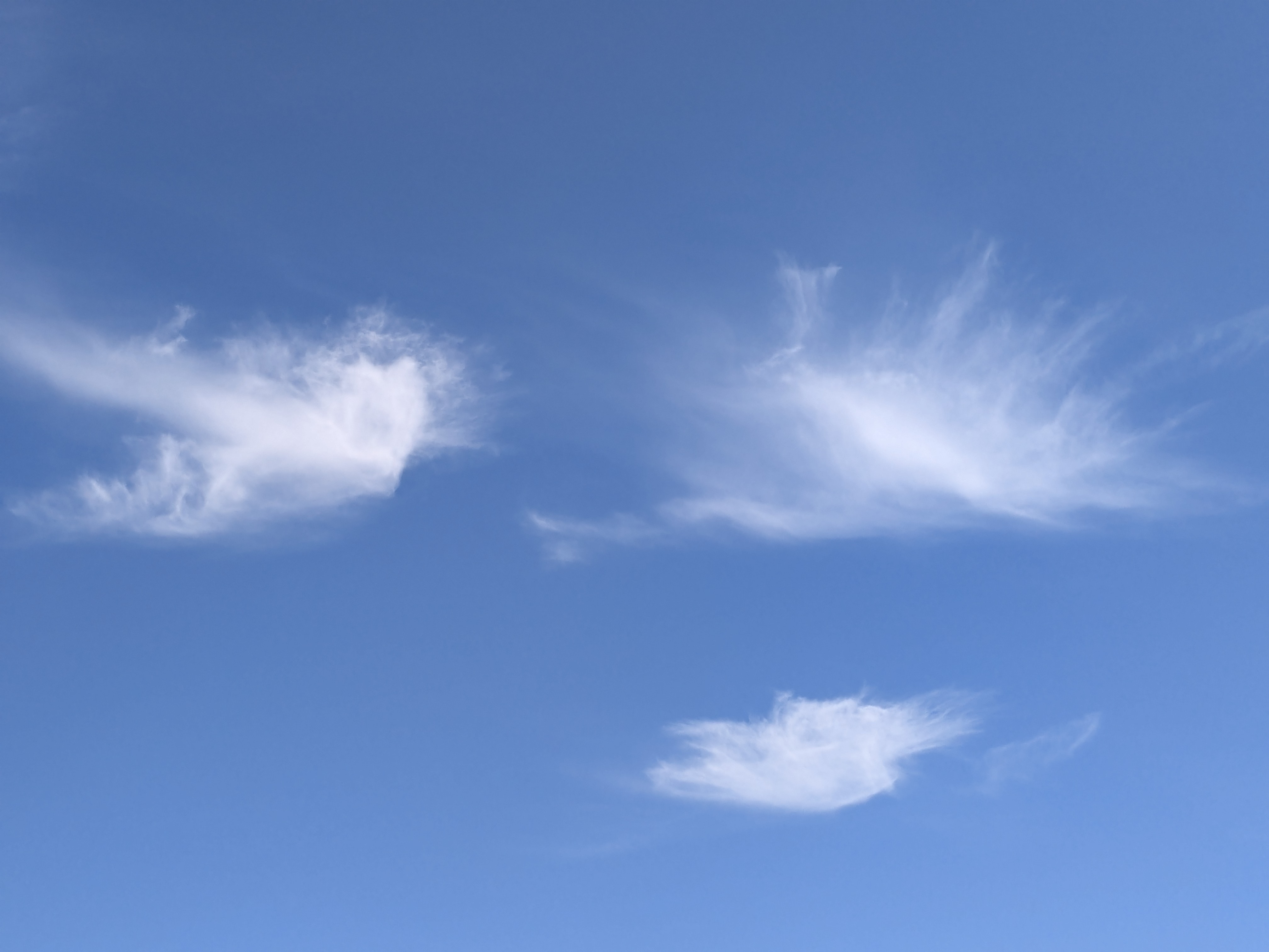 Sun dog halo phenomenon